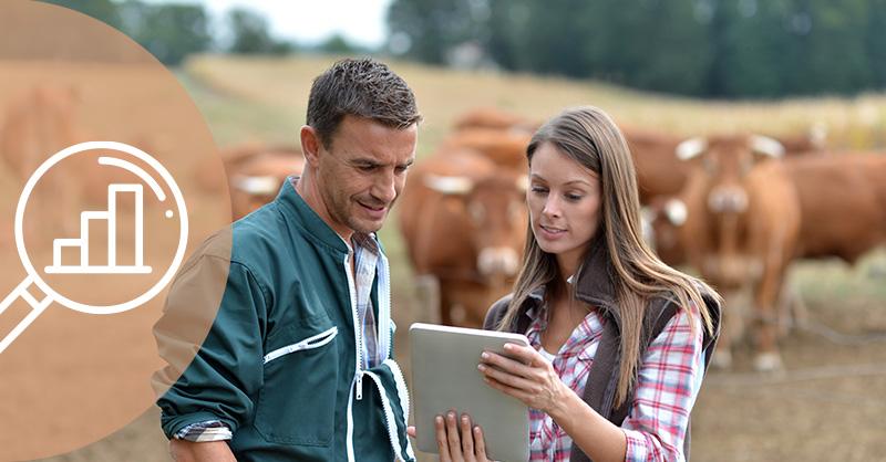 Image: two farmers analysing crop data on a handheld device